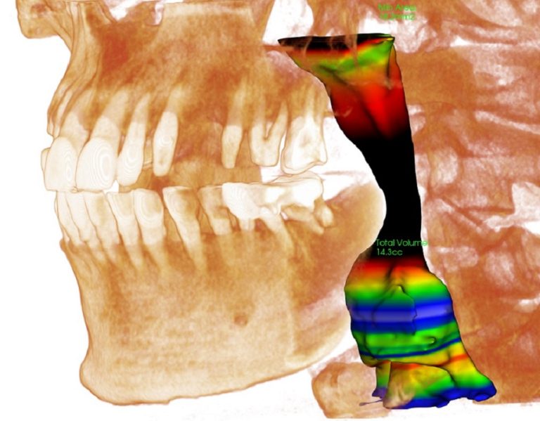 Anatomage Dental Home Anatomage