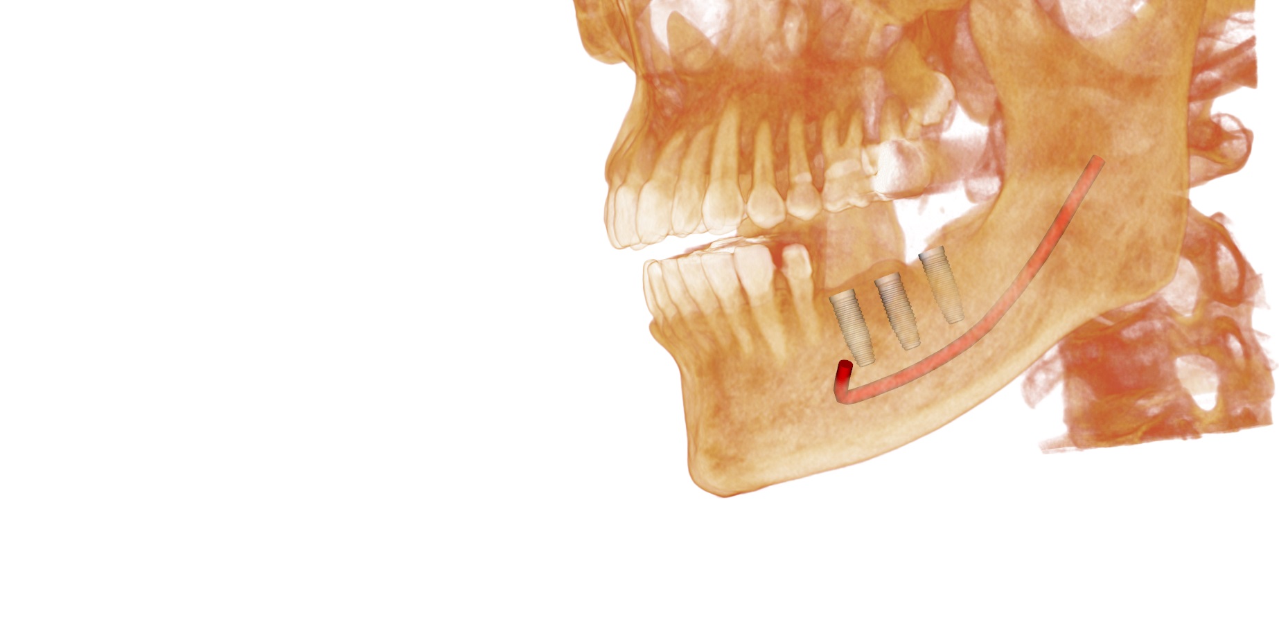 Anatomage Guide Anatomage