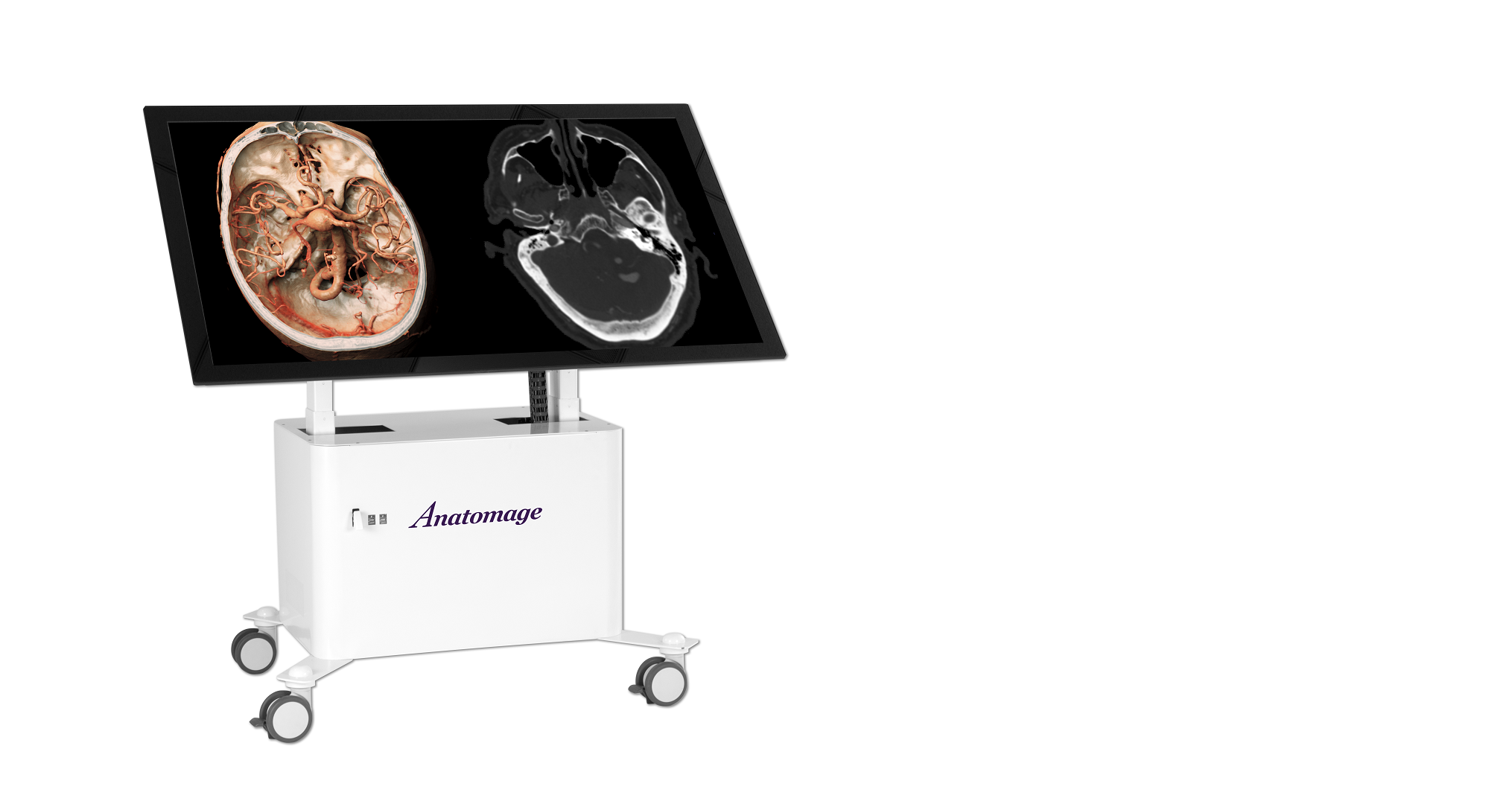 Table Clinical Anatomage