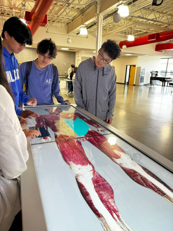 Anatomage | Anatomy Educational Tool for High Schools