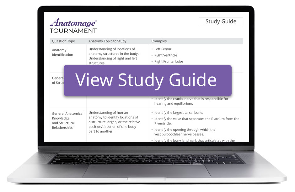 Anatomage Tournaments Study Guide