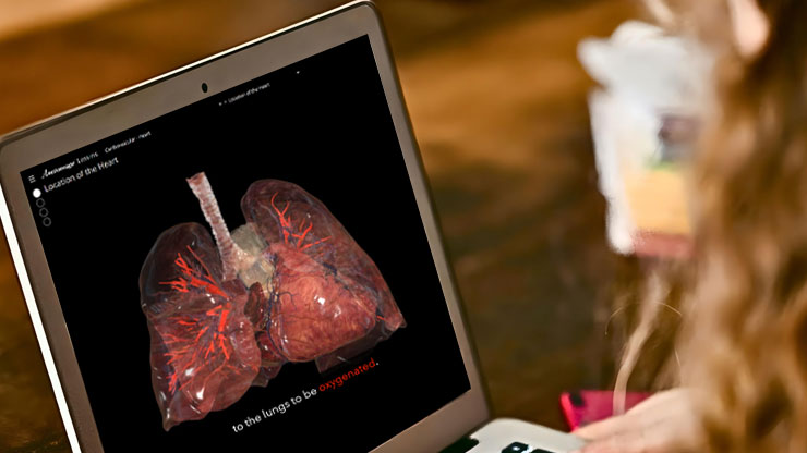 Anatomage Lessons is a web-based platform for studying physiology in 3D.