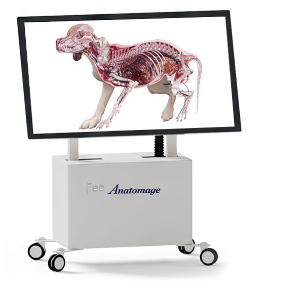 Anatomage Table Vet redefines animal anatomy education with advanced 3D models for veterinary training.