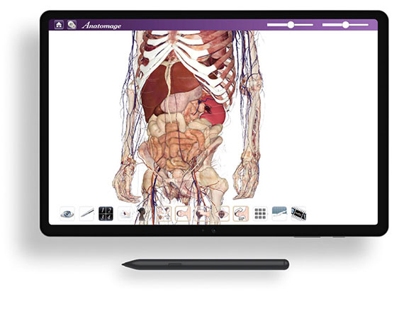 Anatomage Tablet showcasing an immersive 3D anatomy visualization for interactive learning.