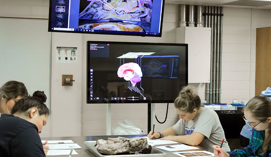 Iowa State University integrates Anatomage’s 3D Anatomy technology to redefine classsroom learning, advance medical education and provide students with a comprehensive understanding of human anatomy.