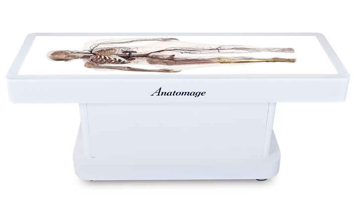 Anatomage Table displaying full-body 3D anatomy visualization for advanced medical education and virtual dissection.