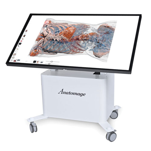 Anatomage Table showcasing advanced clinical technology with 3D visualizations of the human body for medical education.