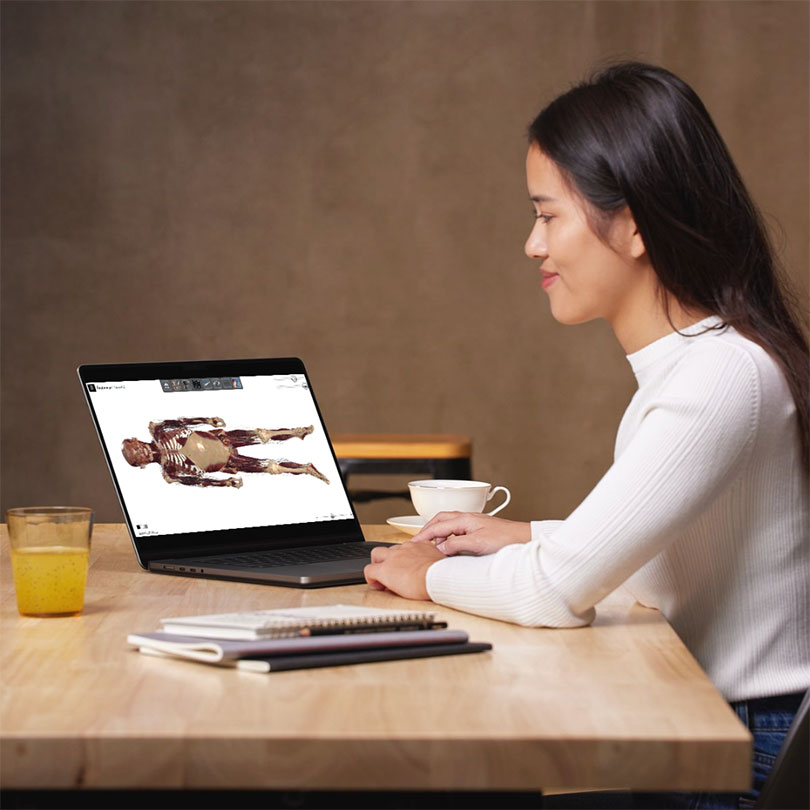 Student studying anatomy and physiology using Anatomage Lessons, an anatomy software featuring virtual cadaver dissection for medical education.