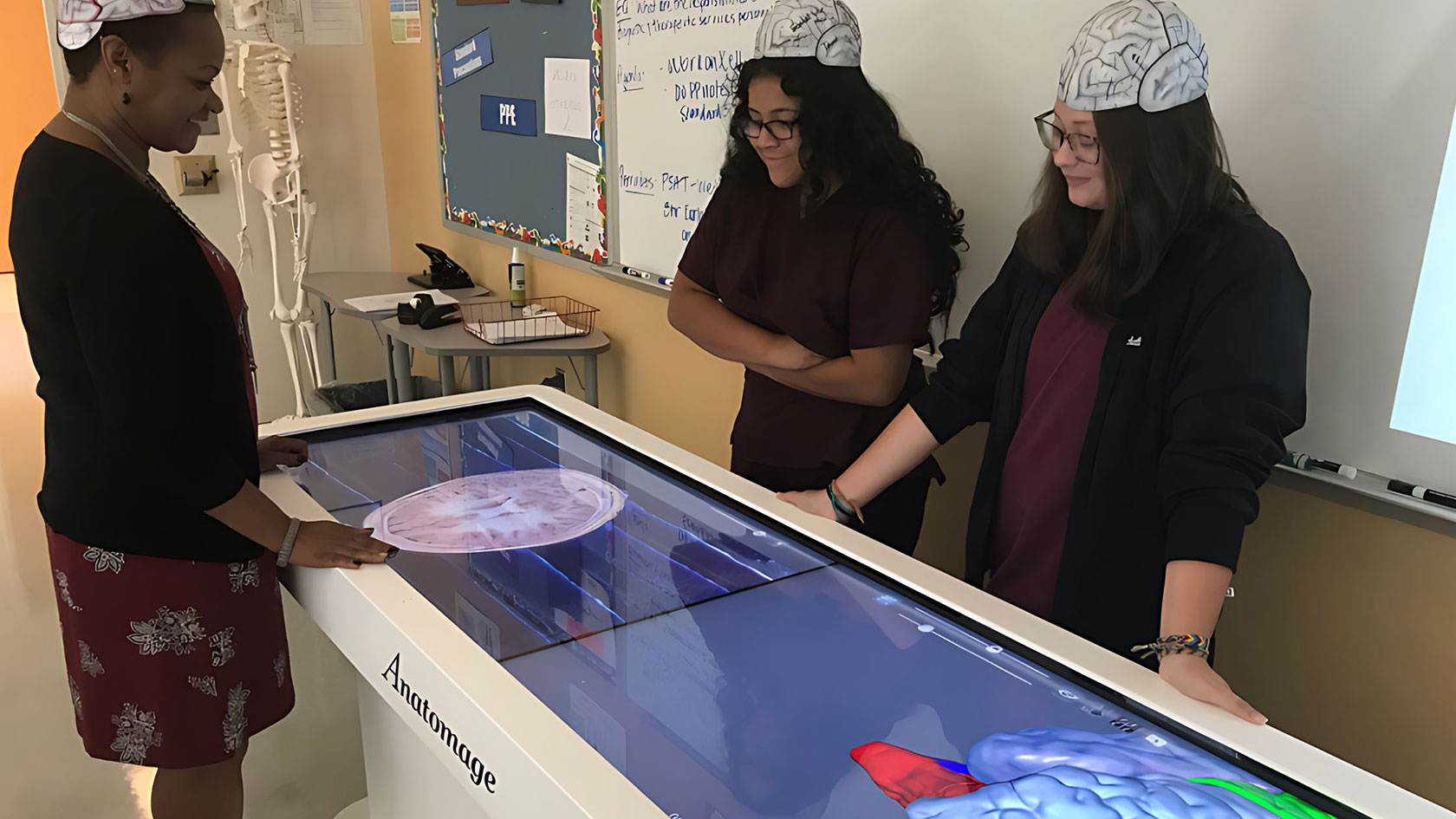 K-12 students and their instructor examining the human brain on Anatomage's 3D anatomy software, designed to support STEM education and enhance the school anatomy curriculum.