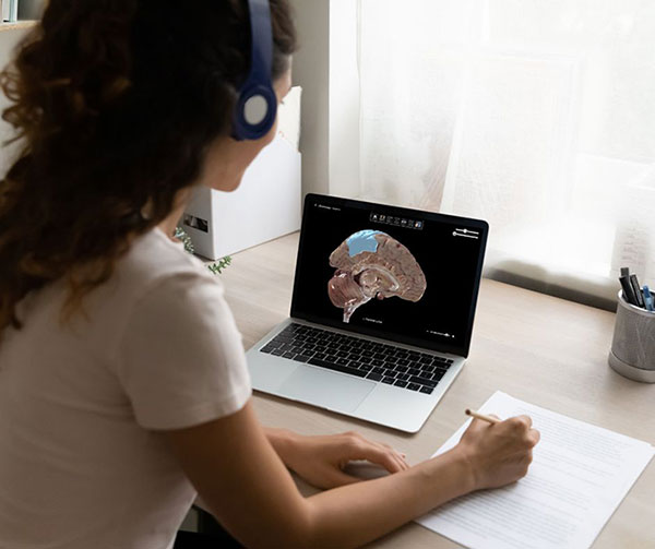 Student using Anatomage Lessons 3D visuals to study the human brain through an interactive anatomy lesson delivered by the software.