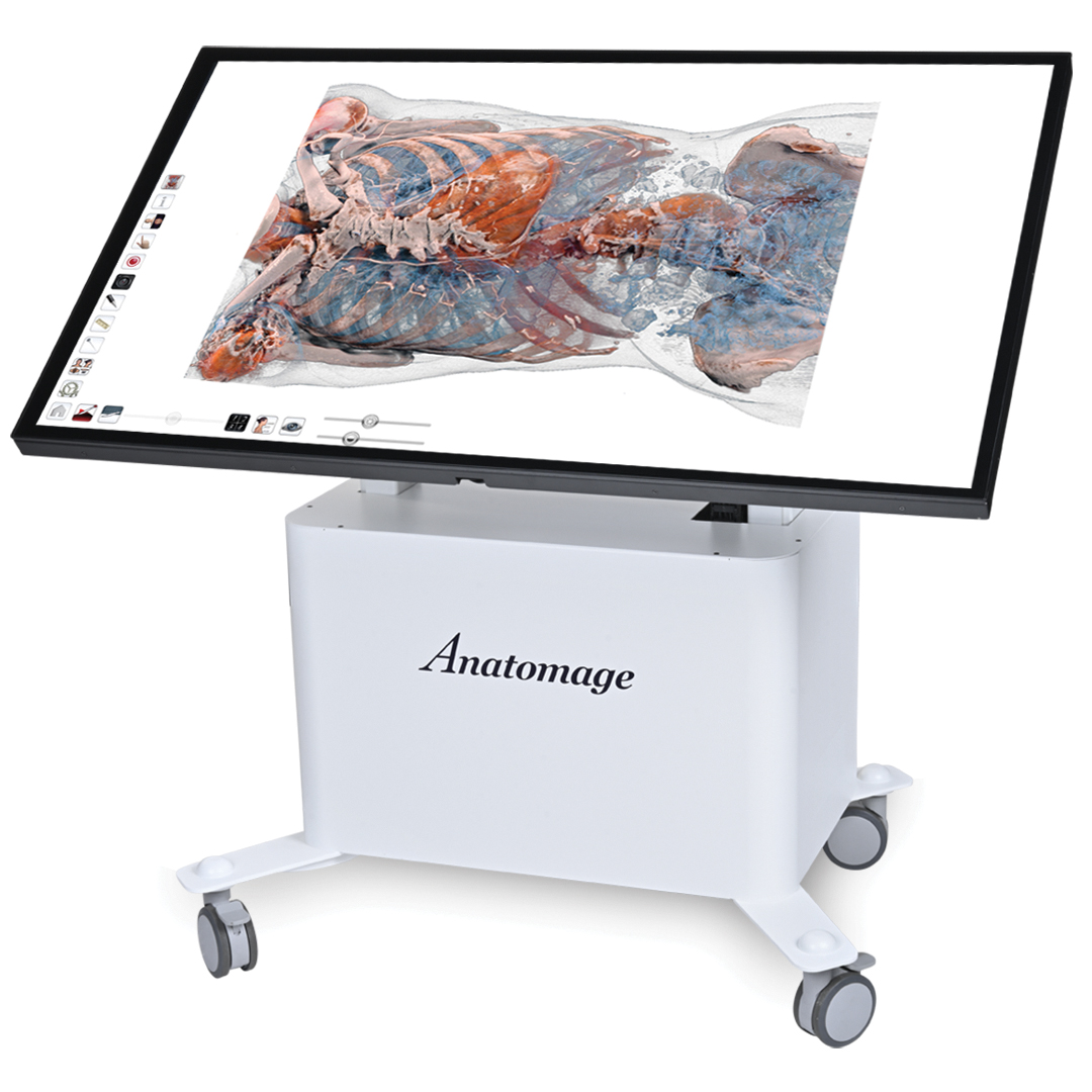 The Anatomage Table Clinical displaying high-resolution 3D medical imaging with DICOM data, including virtual cadavers, cross-sectional anatomy, and radiology scans for clinical training and advanced anatomy education.