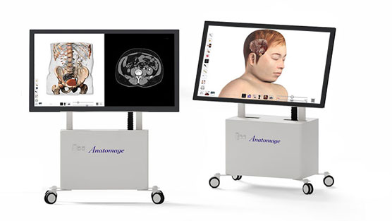 Anatomage Table Clinical displaying 3D visualizations and DICOM images of the human body to support anatomy instruction and clinical education.