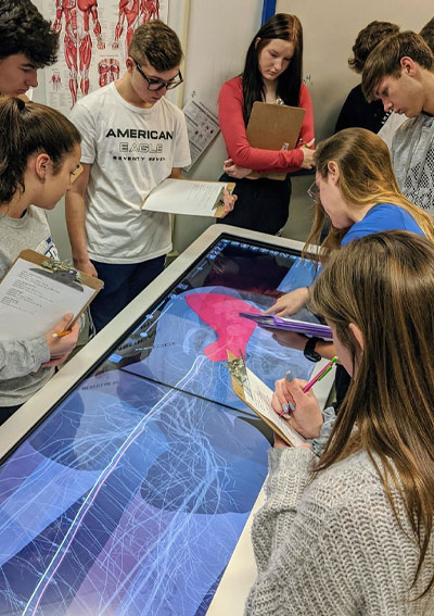 Students viewing a 3D prosection visualization on the Anatomage Table, used to improve anatomy education in classrooms and clinical training.