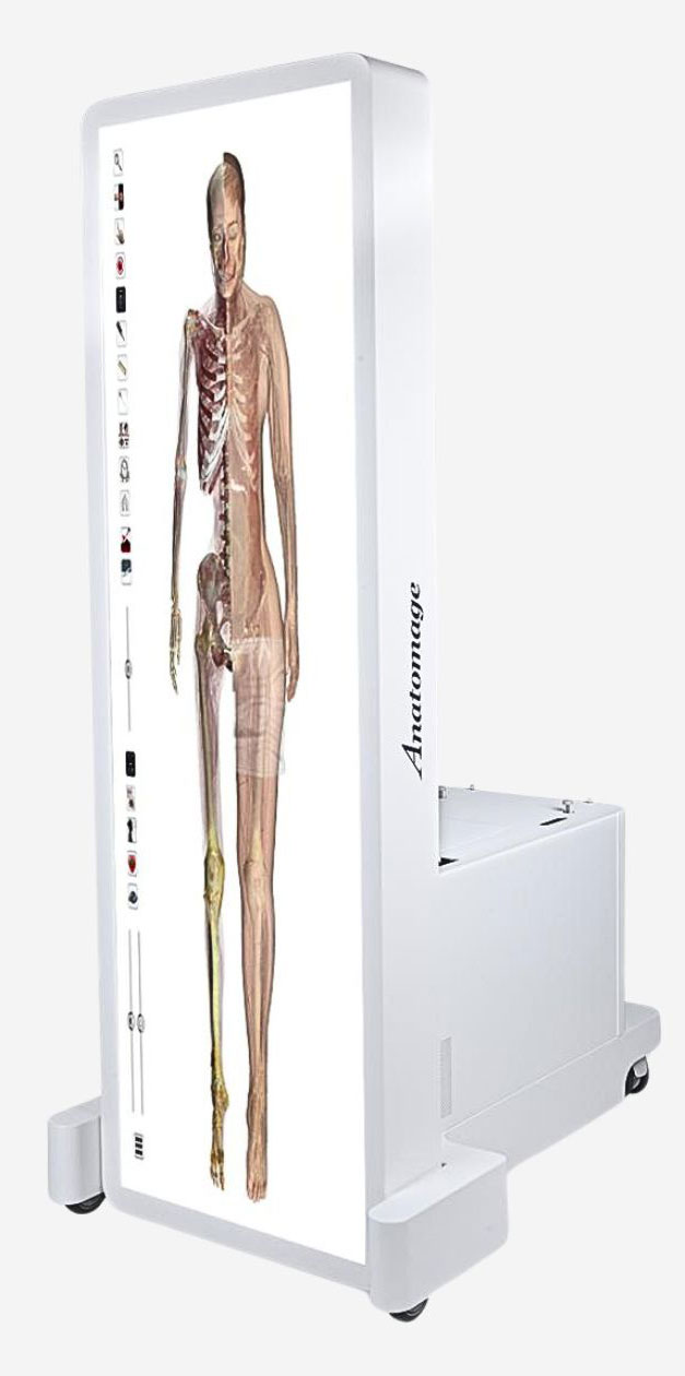 Anatomage Table displaying 3D visualizations of real human cadavers for surgical simulation and training.