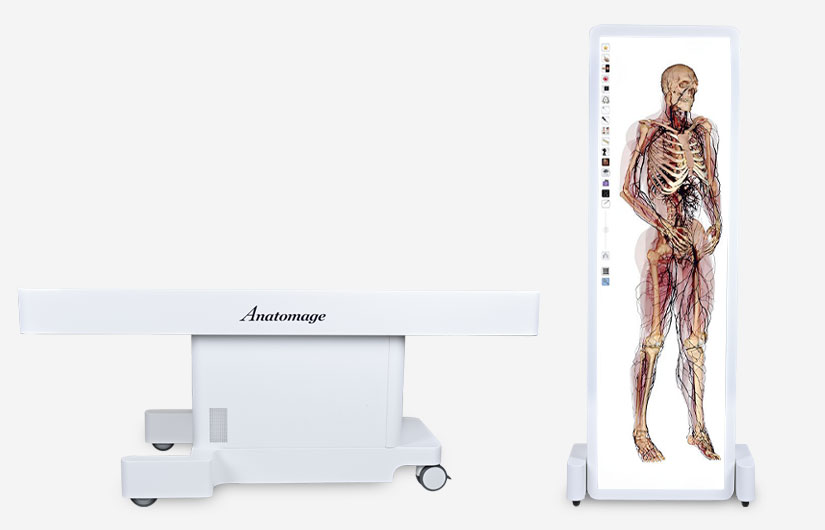 Anatomage Table's medical visualization technology displaying detailed 3D models of the human body, ideal for surgical training and medical education.