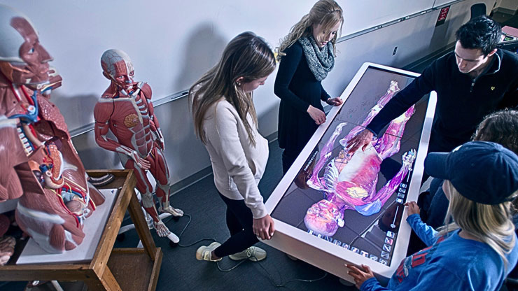 Students using Anatomage's 3D human anatomy software to view cadavers virtually for advanced medical education and training.