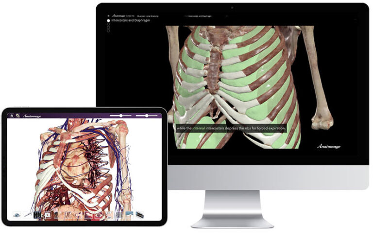 Anatomage Anatomage | Ready-to-Use Cadavers for Medical Schools