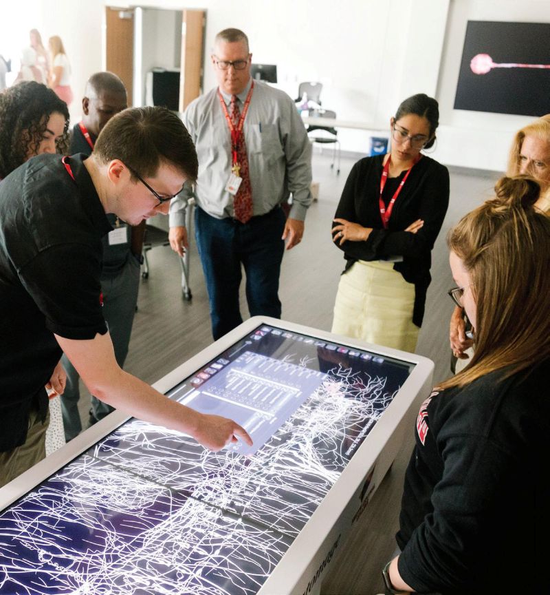 A group of students exploring the Anatomage Table.