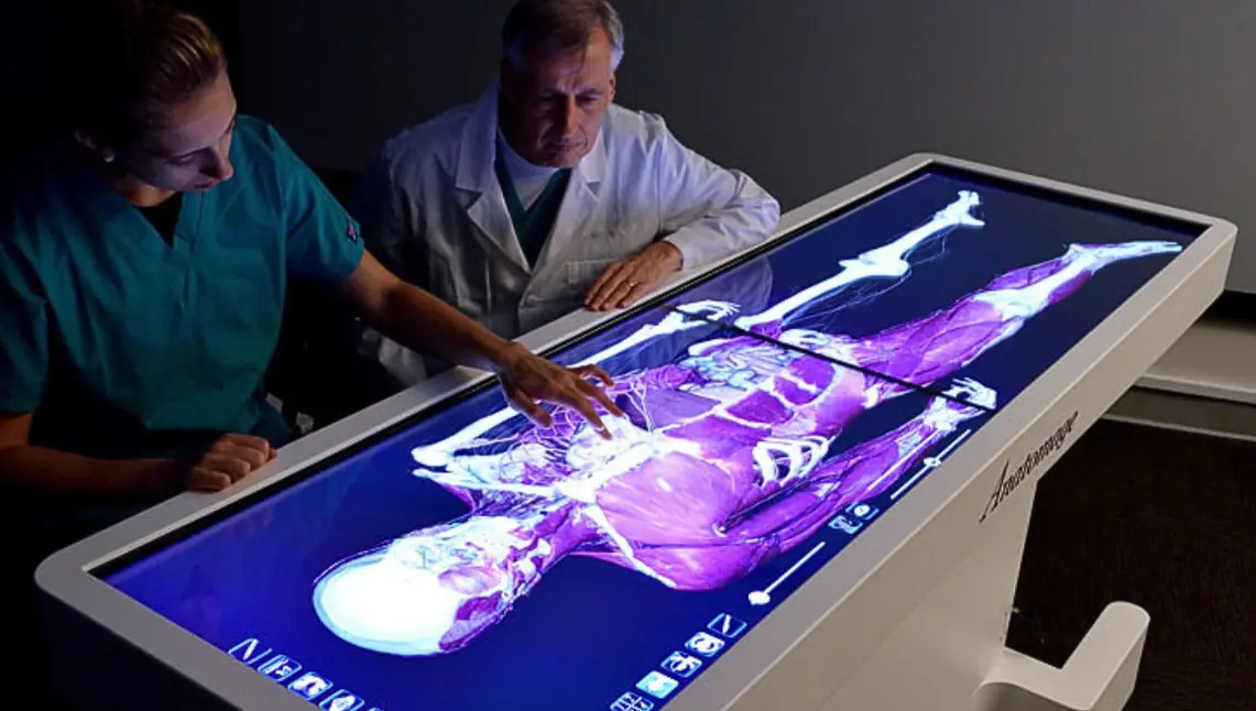 Medical professionals using the Anatomage Table to examine a 3D virtual cadaver, studying human anatomy, muscle structure, and pathology with interactive medical visualization software.