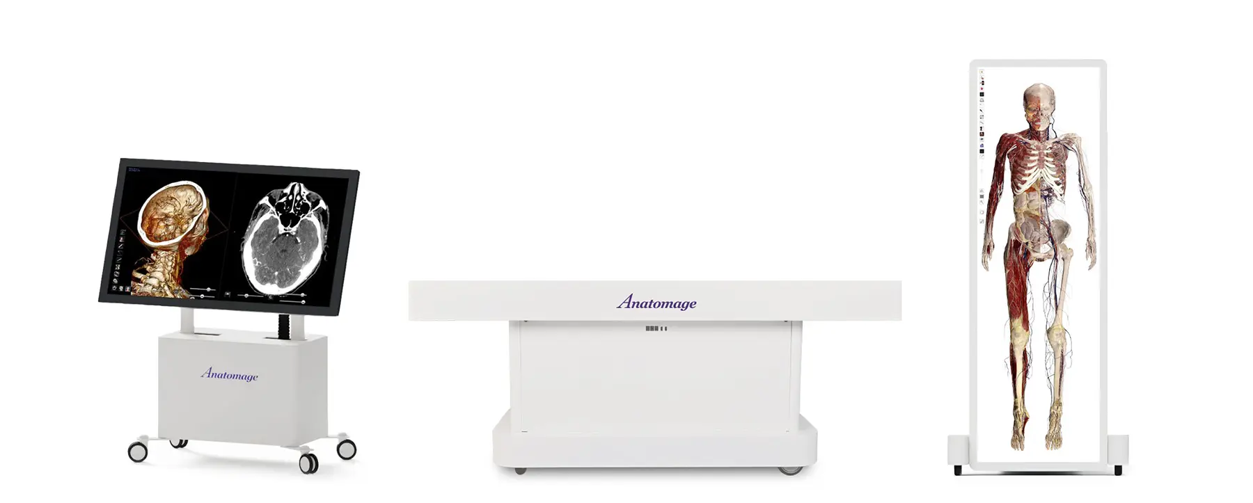 Anatomage’s 3D anatomy systems displaying full-body scans and cross-sections for exploring human anatomy through interactive digital software.