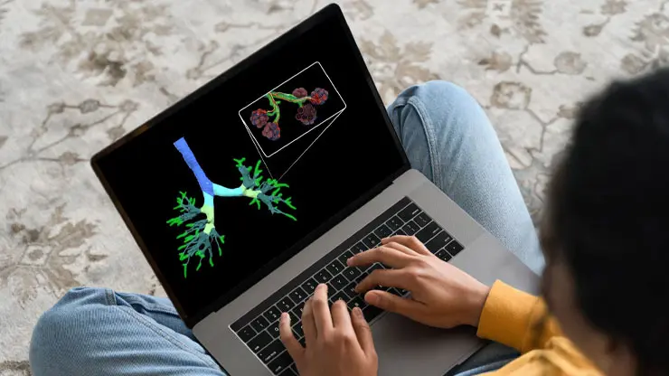 A student utilizing Anatomage Lessons on her laptop to efficiently study, supporting her anatomy education and aligning with a modern anatomy curriculum.