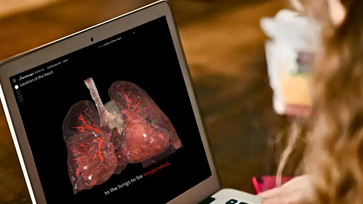 Anatomage Lessons displaying 3D physiology visualizations on a laptop, designed to enhance remote anatomy learning and medical education.