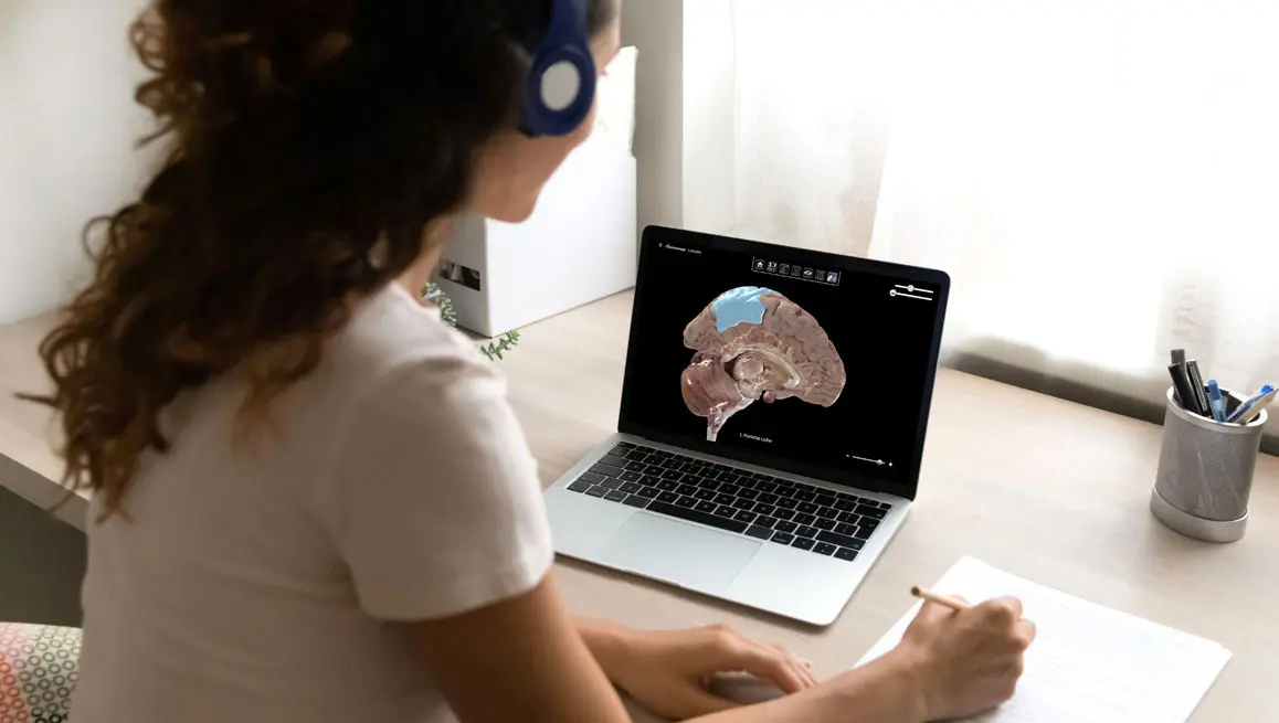 Student studying with Anatomage Lessons for virtual anatomy lessons and medical education in a remote learning environment.