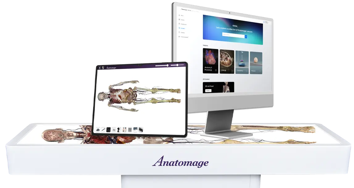 Anatomage Table displaying interactive anatomy visualizations in 3D, alongside a desktop and tablet showcasing Anatomage Lessons platform for anatomy education and medical learning.