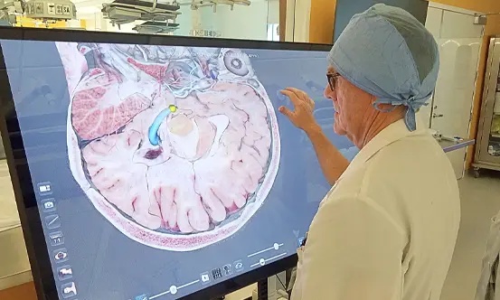 Healthcare professional viewing DICOM images on the Anatomage Table Clinical to provide anatomy data for accurate diagnoses.