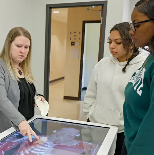 Students exploring 3D anatomical concepts necessary for spatial understanding and hands-on exploration of anatomy and physiology.