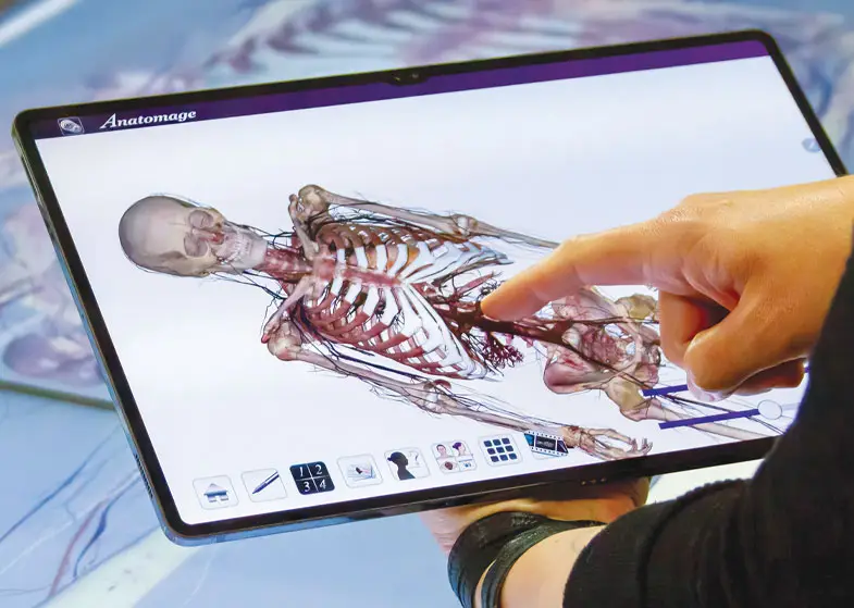 Students exploring 3D anatomical concepts necessary for spatial understanding and hands-on exploration of anatomy and physiology.