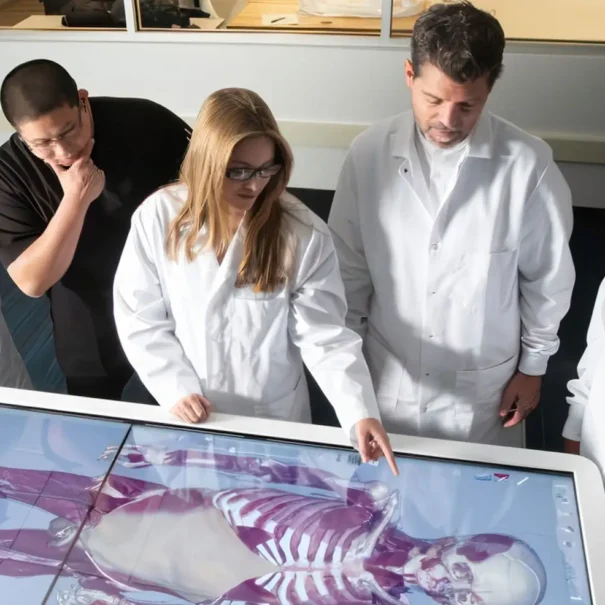University faculty and students interacting with the Anatomage Table.