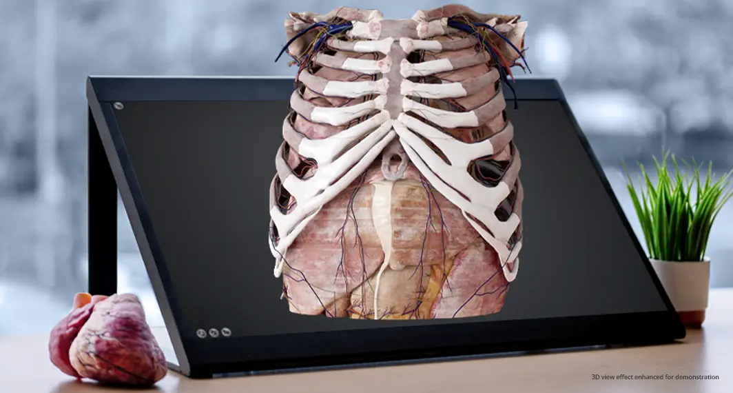 Sony Spatial Reality Display SRD with Anatomage anatomy torso