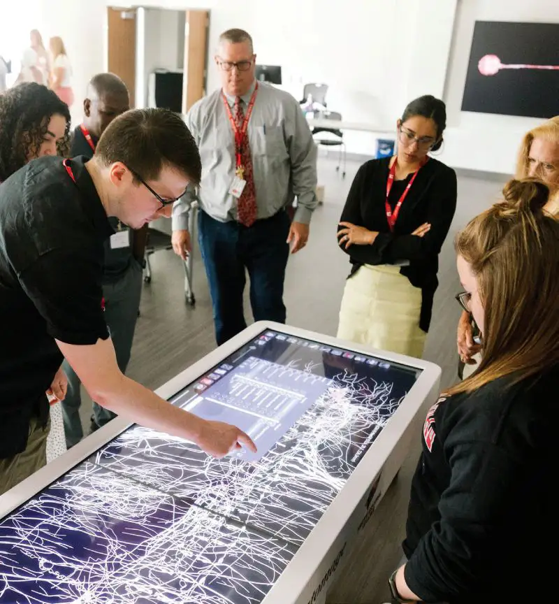 A group of students exploring the Anatomage Table.