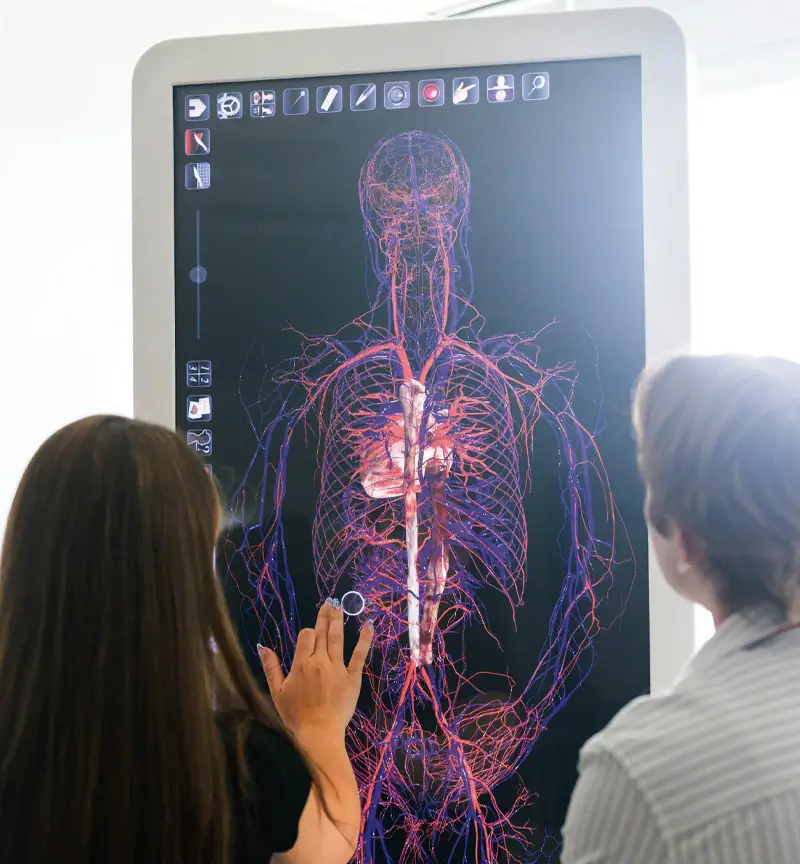 Two students interacting with the Anatomage Table Convertible