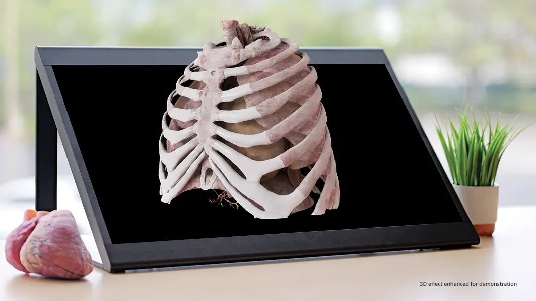 Sony Spatial Reality Display SRD with Anatomage anatomy torso