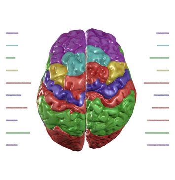 The Anatomage Table upgrades bring new physiology visualizations and clinical tools to the learning environment.