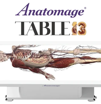 Anatomage Table 13