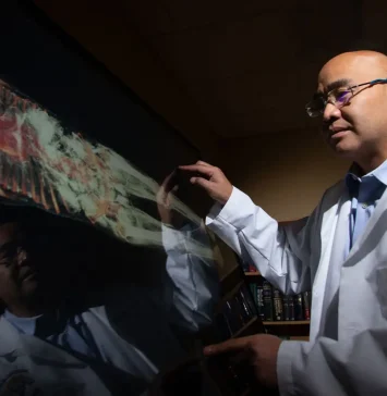 Medical Examiner interacting with the Anatomage Table Clinical.