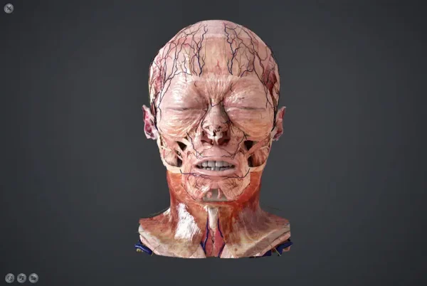 Sony SRD [Face 1]