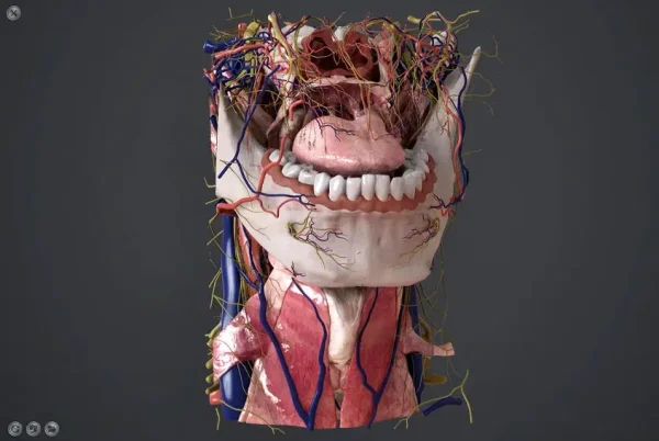 Sony SRD [Pharynx 1]